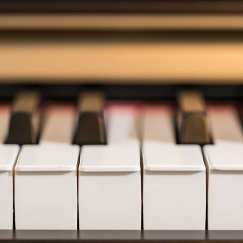 Lehrerin für Klavier und Keybaord