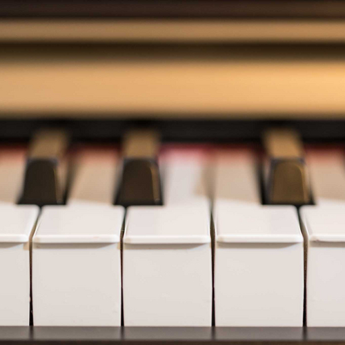 Svetlana Meskhi, Lehrerin für Klavier